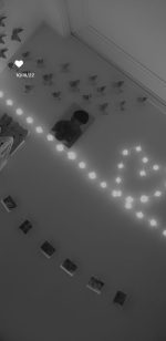 دکوری آماتیس مدل پروانه سه بعدی بسته 25 عددی مناسب تزیین اتاق کودک و تزیین اتاق خواب